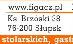 Figacz moduł TV 728x90px