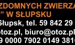 Schronisko Animals