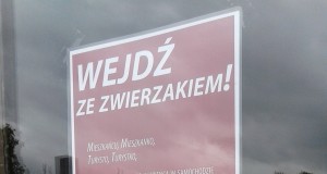 zwierzęta w ratuszu Słupsk