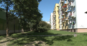 Ekrany zasłaniają światło mieszkańcom przy ulicy Koszalińskiej