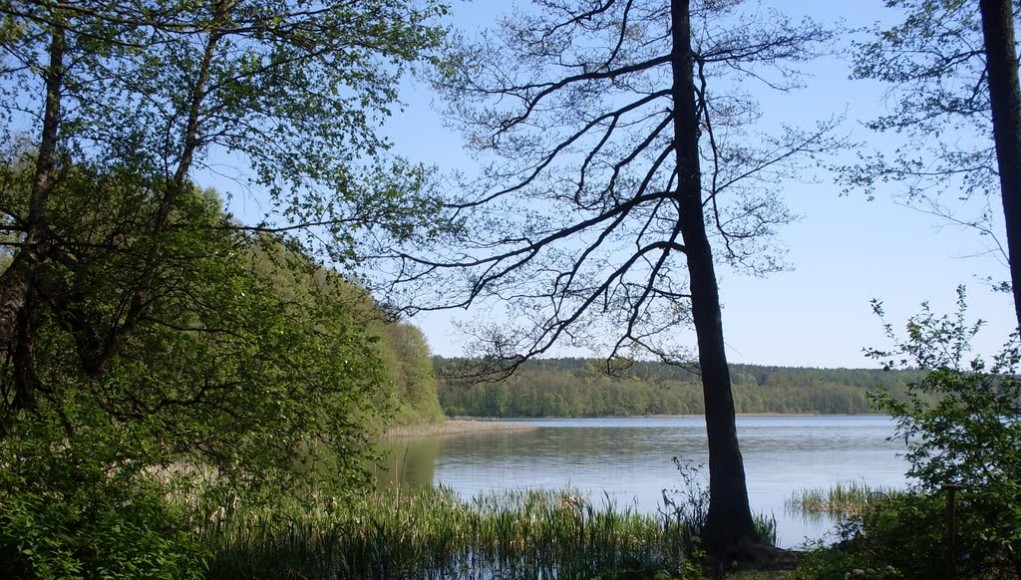 Jezioro Obłęskie