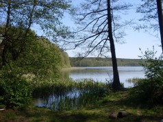 Jezioro Obłęskie