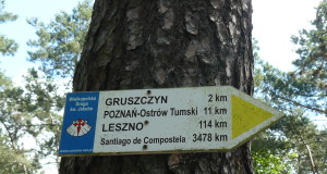Kobylnica