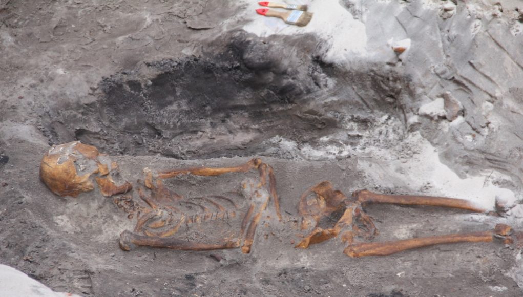 W Łebie wykopali szkielety z ziemi