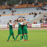 cropped-Gryf-Lechia-17.jpg