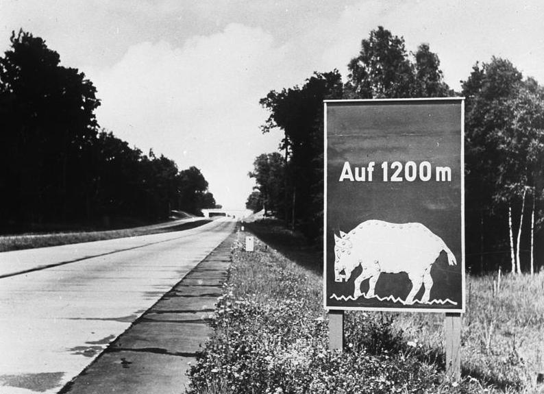 Ostrzeżenie o dzikach na autostradzie - Berlin - Szczecin - Reichsautobahn Berlin-Stettin Autostrada Dąbie - Transport w pruskiej prowincji Pomorze (1815-1939)