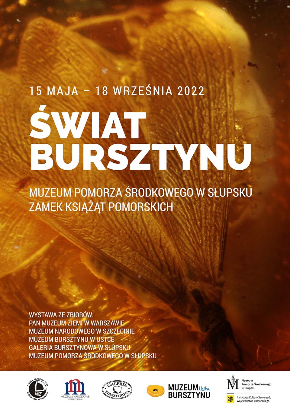 Wystawa czasowa - Świat Bursztynu - Muzeum Pomorza Środkowego w Słupsku