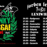 cropped-jubileuszowa-trasa-PUNKY-REGGAE-live-2024.jpg
