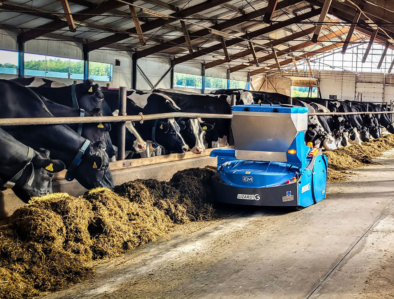 Euromilk zaprezentuje efektywne rozwiązania podczas Agro Show 2025 w Bednarach - EM Lizard - robot wykorzystywany w rolnictwie do podgarniania paszy w oborach