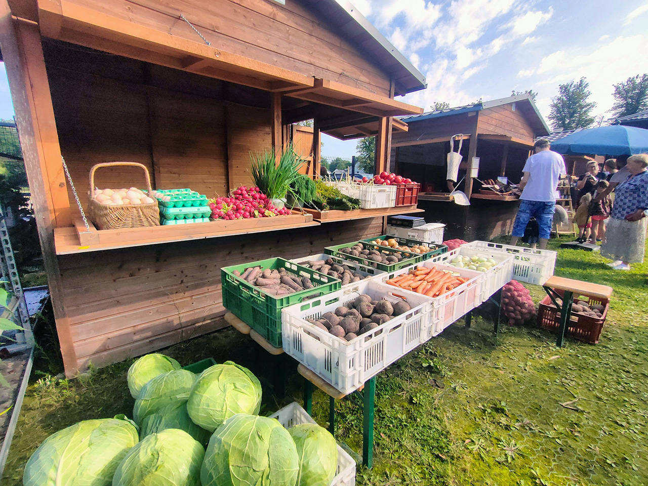 Bazarek Natury w Krępie Słupskiej 13.09.2025 – święto lokalnych smaków i tradycji