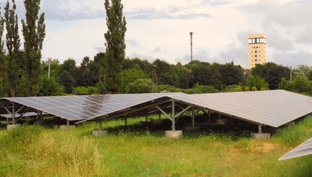 Węglokoks Energia stawia na lokalną niezależność energetyczną