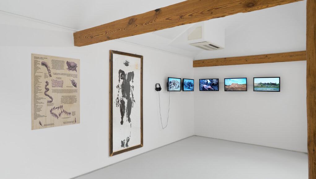 „Sztuka oswajania zmian” warsztaty wideoperformance z Martyną Miller w BGSW