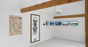 „Sztuka oswajania zmian” warsztaty wideoperformance z Martyną Miller w BGSW