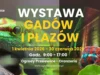 Wiosna pełna egzotyki – niezwykła wystawa w Oranżerii Ogrodów Przelewice Wiosna pełna egzotyki – niezwykła wystawa w Oranżerii Ogrodów Przelewice