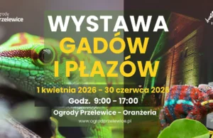 Wiosna pełna egzotyki – niezwykła wystawa w Oranżerii Ogrodów Przelewice