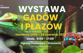 Wiosna pełna egzotyki – niezwykła wystawa w Oranżerii Ogrodów Przelewice