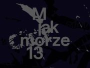 „M jak Morze 13” to kolejna edycja pleneru artystycznego organizowanego przez Stowarzyszenie Marynistów Polskich